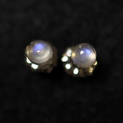 (1 件) 寶藍色月光石耳釘（4 毫米，鈦柱） 第1張的照片