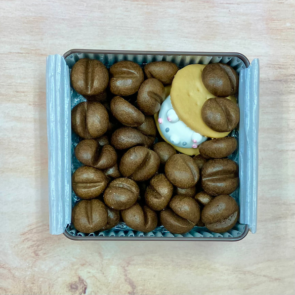  第2張的照片