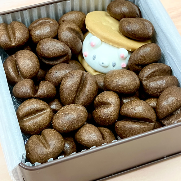  第5張的照片