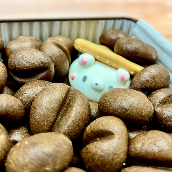  第4張的照片