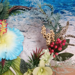 藍芙蓉夢幻花環珊瑚開業慶典龜背竹 Denfare 紅掌花直徑 34c 第3張的照片