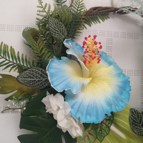 値下げ 青のハイビスカス ファンタジー コーラル 開店祝い モンステラ