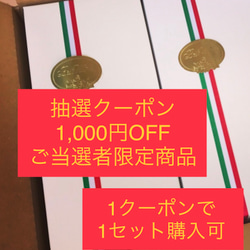 CP10  ❣️1,000円OFFクーポンご当選者限定品【送料無料】 1枚目の画像