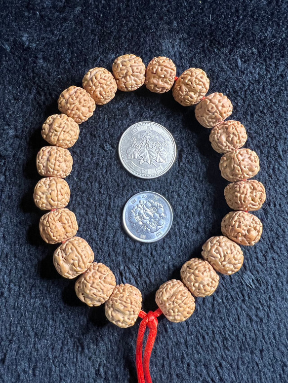 【高級品】文玩 形揃い ルドラクシャ 金剛菩提108数珠 念珠 14mm 超大玉 高級品】文玩 形揃い ルドラクシャ 金剛菩提108数珠 念珠 14mm