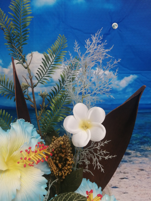 藍芙蓉佈置開幕慶典雞蛋花珊瑚棕櫚船珊瑚 第6張的照片