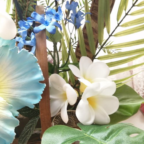 値下げ 青のハイビスカスのアレンジメント トロピカル スナップ