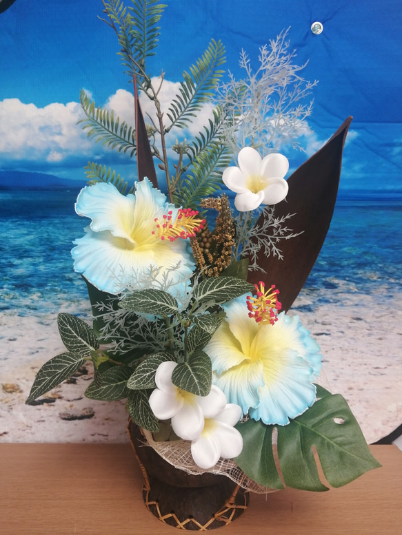 藍芙蓉佈置開幕慶典雞蛋花珊瑚棕櫚船珊瑚 第1張的照片