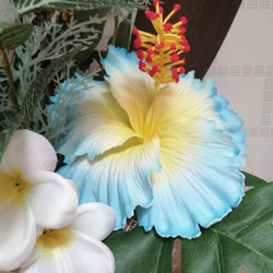 藍芙蓉佈置開幕慶典雞蛋花珊瑚棕櫚船珊瑚 第4張的照片