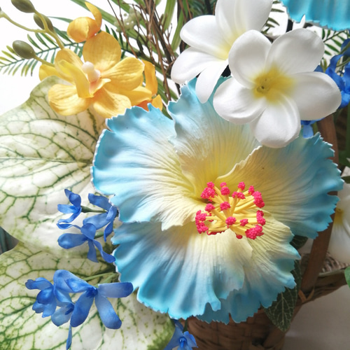 値下げ 青のハイビスカスのアレンジメント トロピカル スナップ