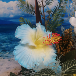 藍芙蓉佈置開幕慶典雞蛋花珊瑚棕櫚船珊瑚 第5張的照片