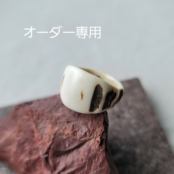 AVM 鹿の角　リング 鹿の角 リング 8～8.5号 | 鹿角工房〜イランカラプテ〜