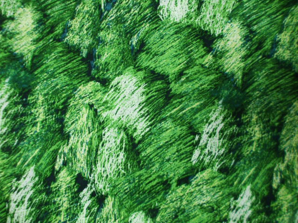 グリーン色地×木柄プリント 綿麻素材 スタンドカラーフレンチスリーブシャツワンピース L～LLサイズ 受注生産 9枚目の画像
