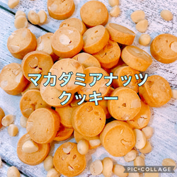 マカダミアナッツづくしのクッキーアソート 2枚目の画像