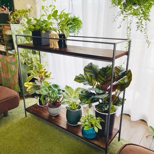 プランタースタンド プランターBOX 植物棚 多肉植物 観葉植物