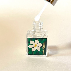 香りを愛でる【くちなし】 2枚目の画像