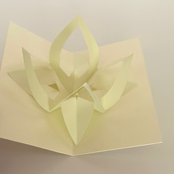 香りを愛でる【くちなし】 6枚目の画像