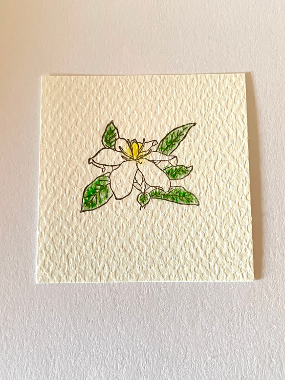 香りを愛でる【くちなし】 3枚目の画像