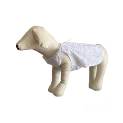 犬服 ホワイト 夏コットンレースギャザーフリルキャミソール 2枚目の画像