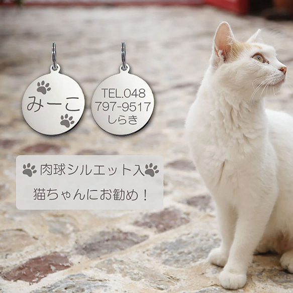 迷子札 肉球 シルエット入 ネコ 猫ちゃん用 極小タイプ ネーム プレート ステンレスサークルＳＳ 1枚目の画像