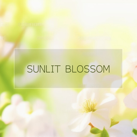 輝く朝の花の香り【 Sunlit Blossom 】Glowing Serenity Collection 2枚目の画像