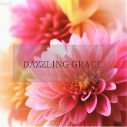 華やぎの香り【 Dazzling Grace 】Glowing Serenity Collection 2枚目の画像