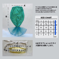  第2張的照片