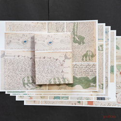 紙製ブックカバー　ヴォイニッチ手稿5（カラー）（5枚セット） 1枚目の画像