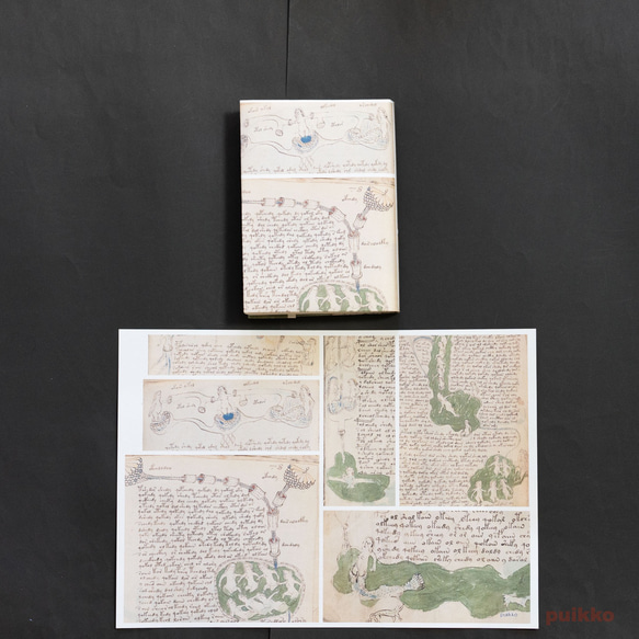 紙製ブックカバー　ヴォイニッチ手稿5（カラー）（5枚セット） 2枚目の画像