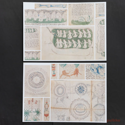 紙製ブックカバー　ヴォイニッチ手稿5（カラー）（5枚セット） 3枚目の画像