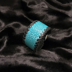 a2a508f2145bb8d9f5825be5fab610