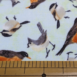 ☆小鳥だらけのｶｯﾄｸﾛｽ(約50×108cm) 4枚目の画像