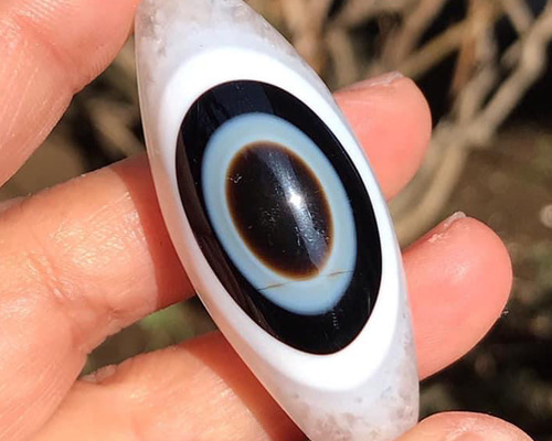 7b211f2dc5a0ea9b903e428a65668a