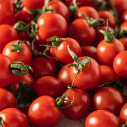 【冷凍】冷ッヒヤで栄養凝縮特別栽培「冷凍宮トマト」1ｋｇ 3枚目の画像