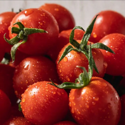 【冷凍】冷ッヒヤで栄養凝縮特別栽培「冷凍宮トマト」1ｋｇ 4枚目の画像