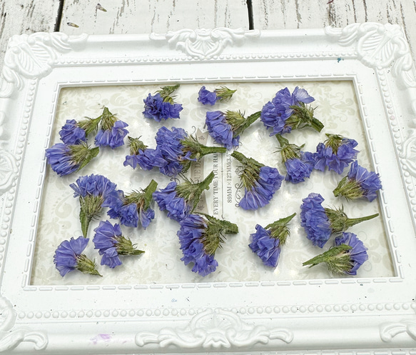 レア品種❣️ブルースカイスターチス小分け❣️ハンドメイド花材