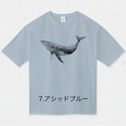 ★映画でご着用いただきました★７色 ◆ シロナガスクジラくんのビッグシルエットTシャツ 1枚目の画像