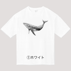 ★映画でご着用いただきました★７色 ◆ シロナガスクジラくんのビッグシルエットTシャツ 4枚目の画像