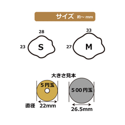  第5張的照片