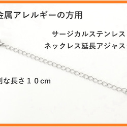 サージカルステンレス延長アジャスター１０㎝・１本ステンレスチェーン 1枚目の画像