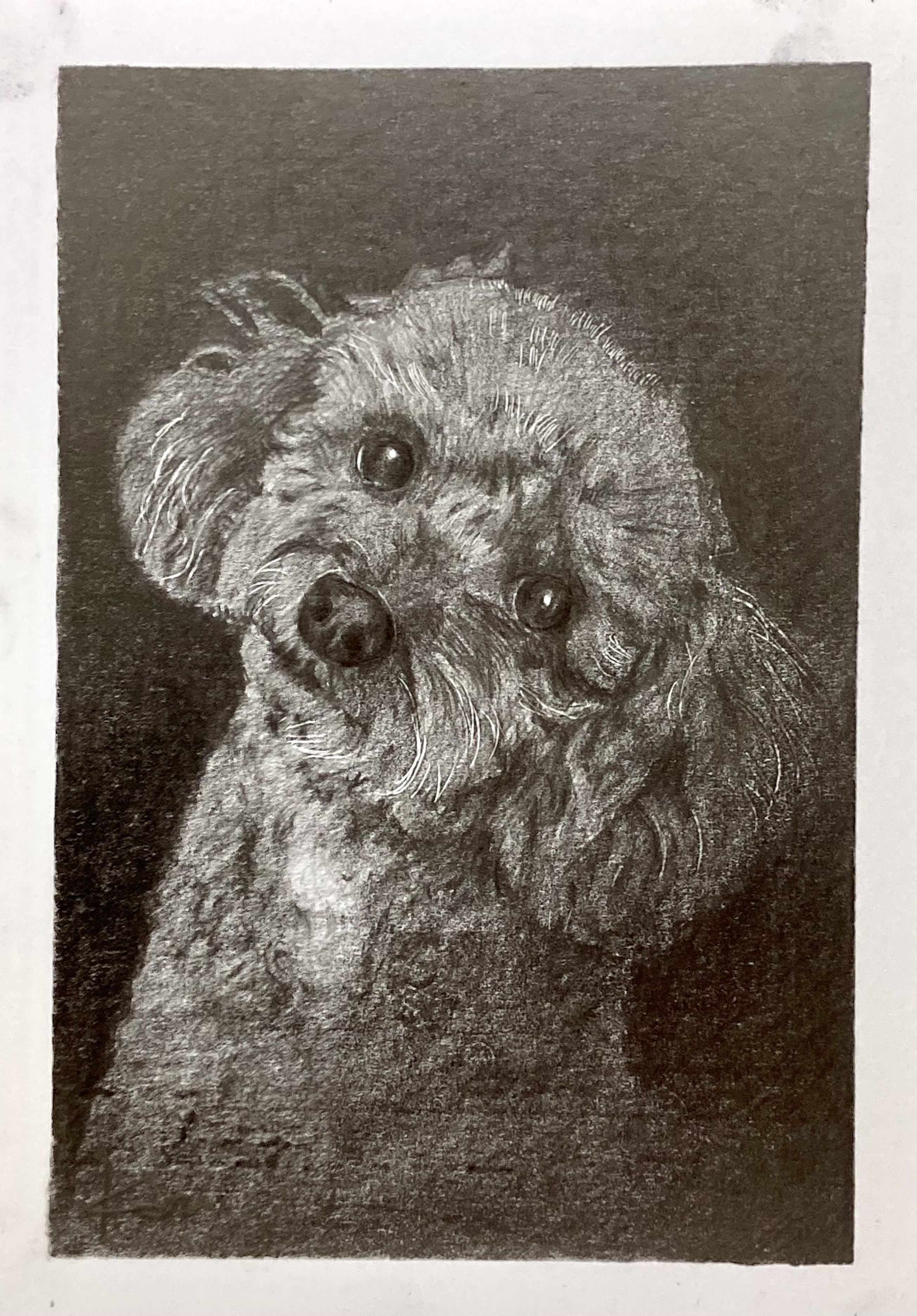 鉛筆画　オーダー画面