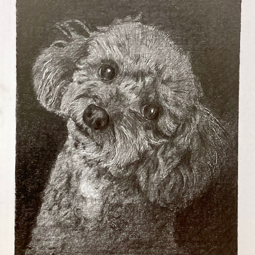 鉛筆画　オーダー画面 オーダーメイド サンプル 犬の絵 鉛筆画 絵画 ENPITSUYA 通販