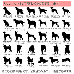 迷子札 犬 ステンレス ボーンタイプ（30-16mm）ペット ドッグ ネーム タグ 愛犬用に まいごふだ 3枚目の画像