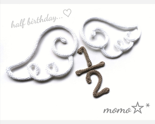 ウールレター 天使の羽 ハーフバースデー ニューボーンフォト momo