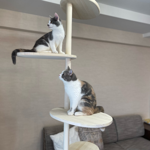 インテリアにとけこむ おしゃれな オリジナル ハンドメイド キャット 
