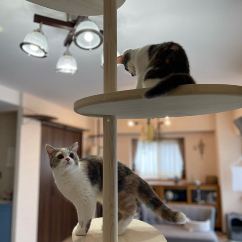 インテリアにとけこむ おしゃれな オリジナル ハンドメイド キャット 