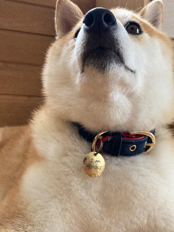 希望の名前打ちます！真鍮丸プレートドックタグ・刻印キーホルダー