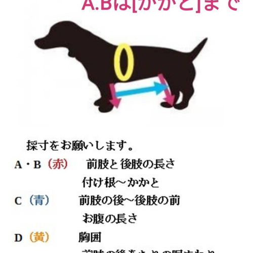 四輪歩行器、中型犬歩行器、車椅子（中型犬シートタイプ
