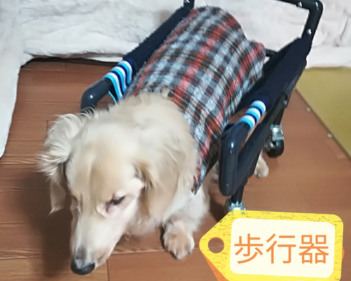 c972c2c0d09e58d2ebfcaec4049ac9