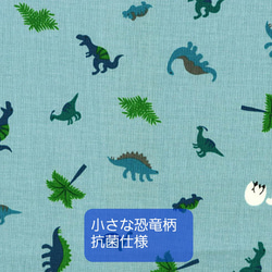  第13張的照片