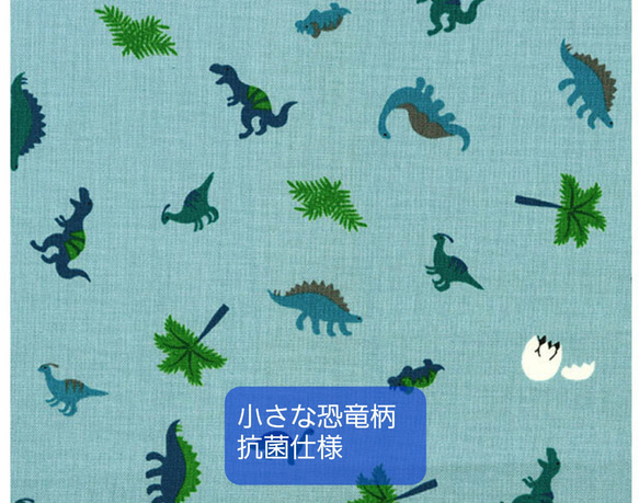  第13張的照片